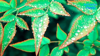 Sfulingo_ Shishir Bindu Bangla Kobita _  স্ফুলিঙ্গ(শিশির বিন্দু)  রবীন্দ্রনাথ ঠাকুর @ArtCreator _