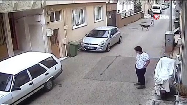 Bursa’da başıboş sokak köpeği kursa giden kız çocuğunu böyle ısırdı