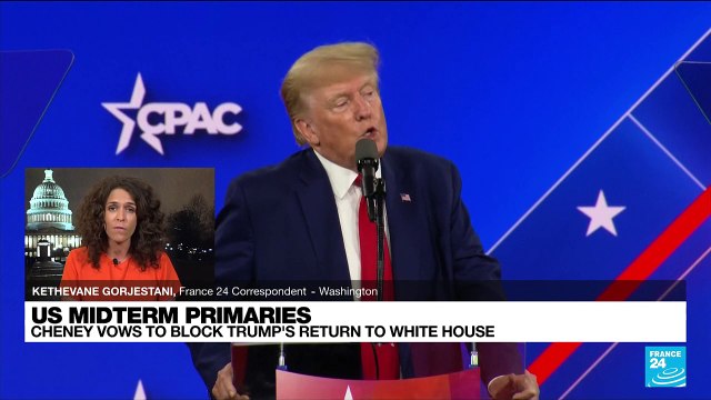 Trump-backed challenger beats Republican Liz Cheney in US midterm primary