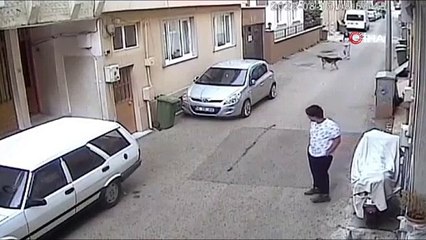 Bursa’da başıboş sokak köpeği kursa giden kız çocuğunu böyle ısırdı