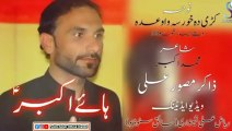 Zakir Musawir Ali Pashto New Noha 2023 | Pashto Nohay 2022 | Pashto New Nohay | Pashto Nohay Official