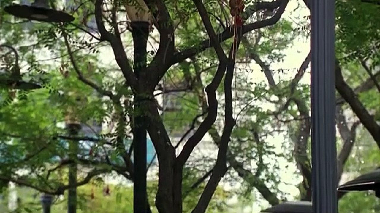 Nip-Tuck - Schönheit hat ihren Preis Staffel 1 Folge 2 HD Deutsch