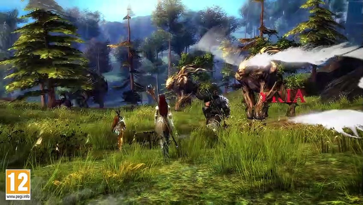 Guild Wars 2 is coming to Steam