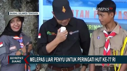 Video herunterladen: BKSDA Baubau Rayakan HUT RI ke-77 dengan Lepasliarkan 8 Ekor Penyu di Pantai Nirwana!