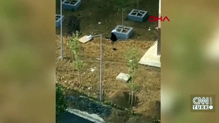 Mahalleli ve polisi alarma geçiren ilginç görüntü: Gerçek çok başka çıktı