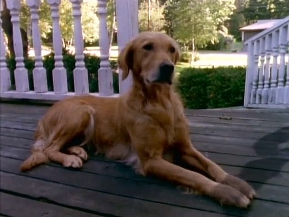 Gänsehaut - Die Stunde der Geister Staffel 1 Folge 17 HD Deutsch