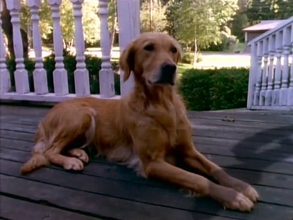 Gänsehaut - Die Stunde der Geister Staffel 1 Folge 2 HD Deutsch