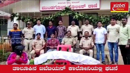 Tibetan| cannabis| ಗಾಂಜಾ| Arrest of cunning| ಗಾಂಜಾ ಬೆಳೆದಿದ್ದ ಟಿಬೆಟಿಗನ ಬಂಧನ| Samara news
