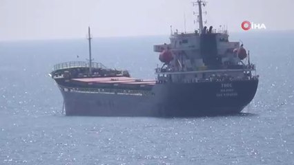 Ukrayna’dan 3 bin ton ayçiçeği taşıyan gemi Tekirdağ’a yanaştı