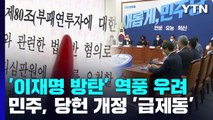 '李 방탄' 역풍 우려?...野 비대위, 당헌개정 '급제동' / YTN