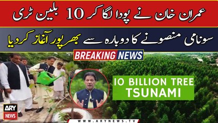 Download Video: Chairman PTI Imran Khan relaunches 10 Billion Tree Tsunami in Punjab and KP