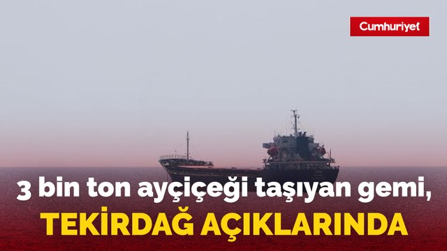 Ukrayna'dan 3 bin ton ayçiçeği taşiyan gemi, Tekirdağ açıklarında