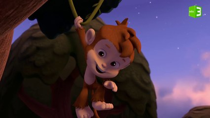 ظاهرة غريبة تحدث في الغابة