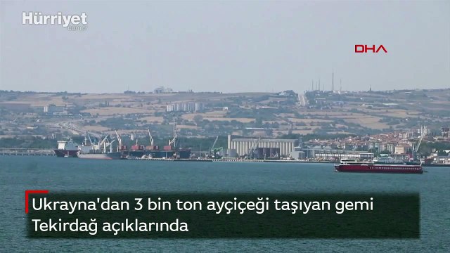 Ukrayna'dan 3 bin ton ayçiçeği taşıyan gemi Tekirdağ açıklarında