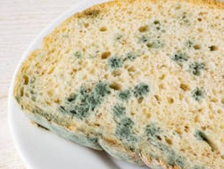 Schimmel drauf? Diese Lebensmittel müssen in den Müll