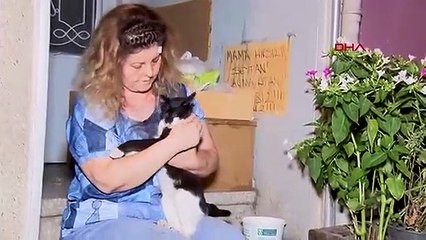 Kediye tekme kavgasında ortalık savaş alanına döndü