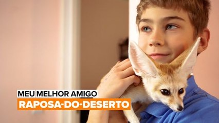Meu Melhor Amigo: Raposa-do-Deserto