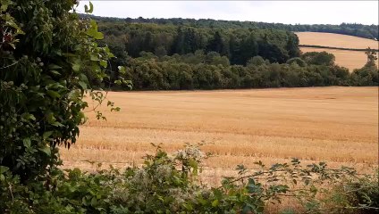 Parched fields near Lavant