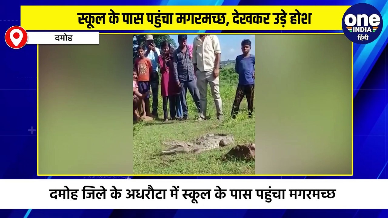 नाले से स्कूल परिसर में पहुंचा मगरमच्छ, दहशत में स्कूल बंद