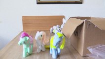 MY LITTLE PONY-UNBOXING PONY POST MERRY GO ROUND PONIES BRILLIANT BLOSSOMS,FLOWER BOUQUET AND TASSELS