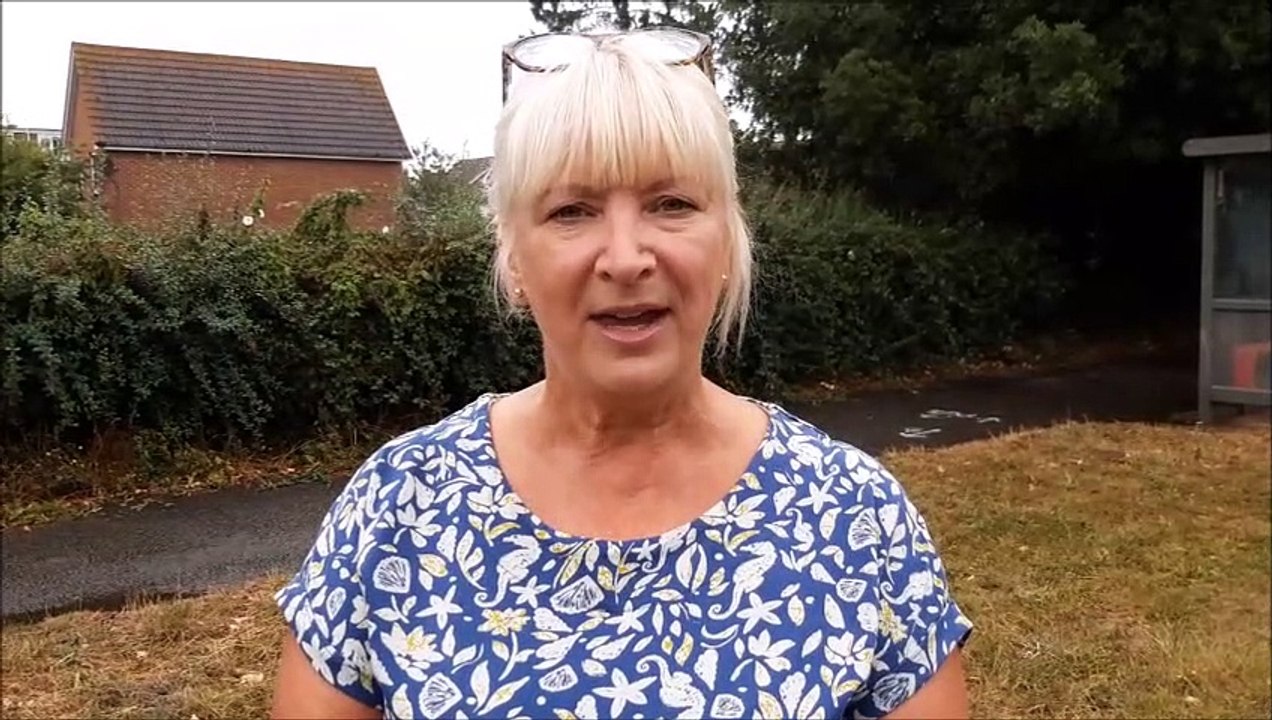 Littlehampton  5G mast approved despite objections
