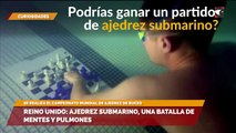 Reino Unido: Ajedrez submarino, una batalla de mentes y pulmones