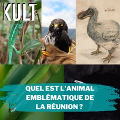 Quel est l’animal emblématique de La Réunion ?