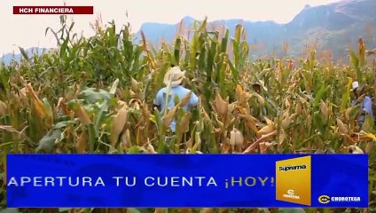 Honduras: "Reactivación Económica Vs. Inseguridad Alimentaria"