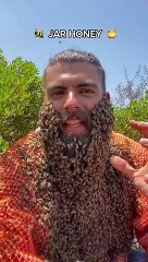 Vídeo: libanês faz sucesso na internet ao mostrar barba coberta por abelhas 