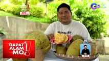 Mala-langka ang balat at parang durian naman ang amoy, ano’ng prutas ito? | Dapat Alam Mo!