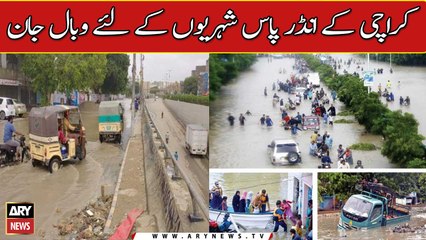Karachi Underpass: Citizens' Nightmare or Lifeline? 🚧