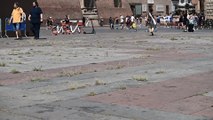 Bologna, in piazza Maggiore spunta l'erba