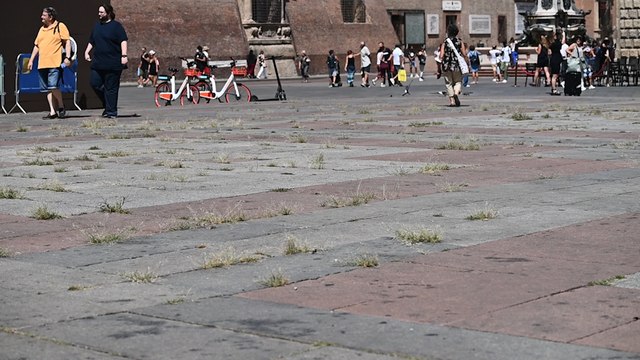 Bologna, in piazza Maggiore spunta l'erba