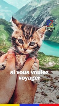 Voyager avec ses animaux, c'est possible ! Les conseils de Justine