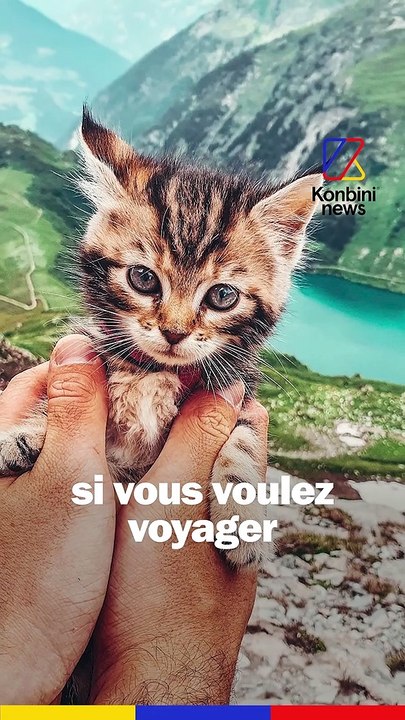Voyager avec ses animaux, c'est possible ! Les conseils de Justine