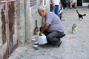 Diyarbakır haber: Diyarbakır'da sokak hayvanlarına destek: Günde 3 bin hayvana mama dağıtılıyor