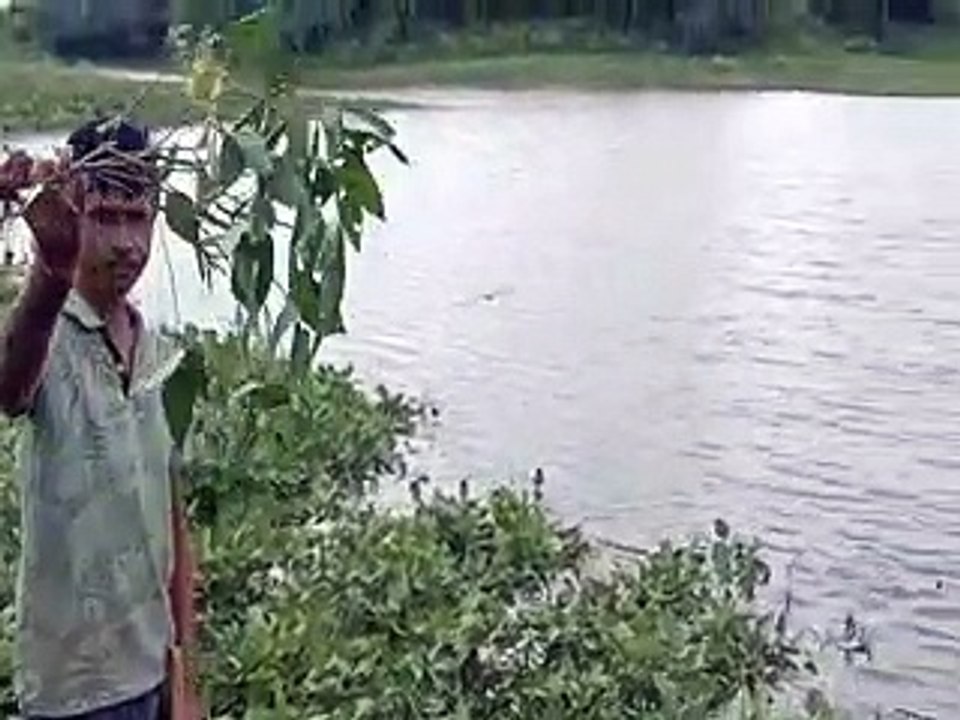 Chambal River: नदी में बढ़ी पानी की आवक, खेतों...