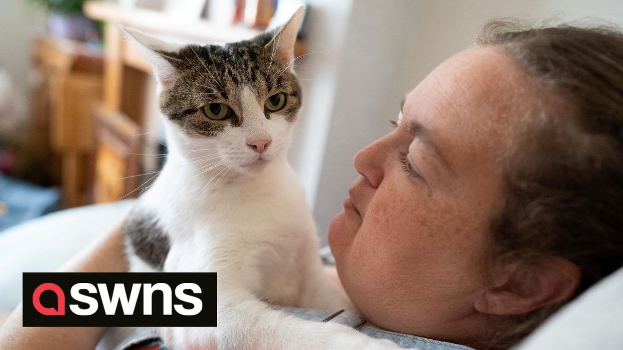 Hero cat saves owner who was having a heart attack by pounding its paws on her chest