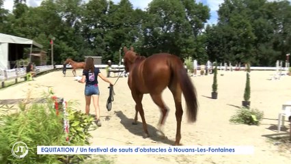Le Journal - 17/08/2022 - CANICULE / Les vaches souffrent et produisent moins de lait