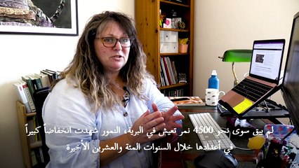 مشروع يستند إلى الذكاء الاصطناعي يسعى للحد من عمليات الاتجار بالنمور