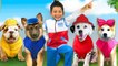 Max and Doggies helps Sasha save Toys