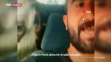 Depresyona giren buzağısını arabaya bindirip gezdirdi