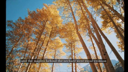 #54 Makeover Our Countryside Terrace   DIY Autumn Decorating Ideas