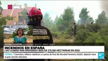 Informe desde Madrid: 270.000 hectáreas consumidas por las llamas en España