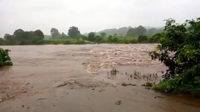 यहां लगातार बारिश के कारण नदी- नाले उफान पर