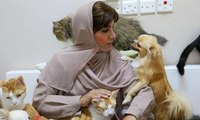 افتتاح أول فندق للقطط والحيوانات الأليفة في المملكة