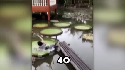 40 MOMENTS YOU WON’T REGRET WATCHING!