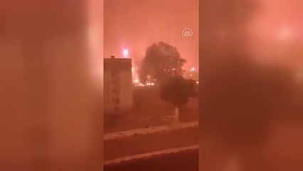 Son dakika haberi! Cezayir'deki orman yangınlarında 26 kişi hayatını kaybetti