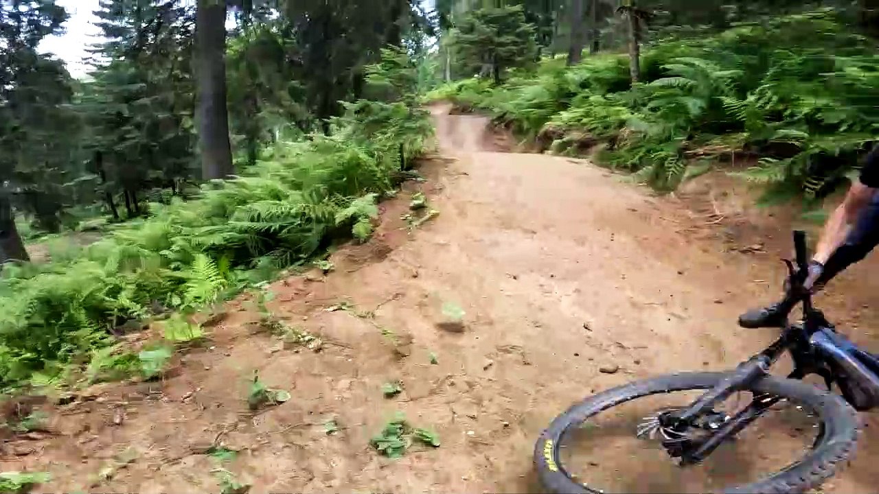 Mounter Biker Group Crash