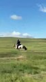 JDP riding like the wind in Mongol Derby |  August 18, 2022 | Katherine Times